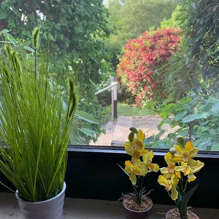 Ferienwohnung Land-Idylle Illingen  Buitenkant foto